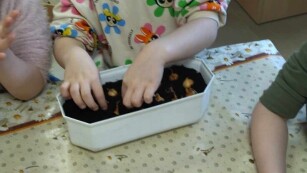 Dziewczynka sadzi cebulki